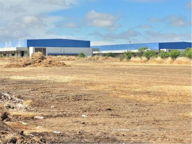 Terreno in vendita a Cerignola FG