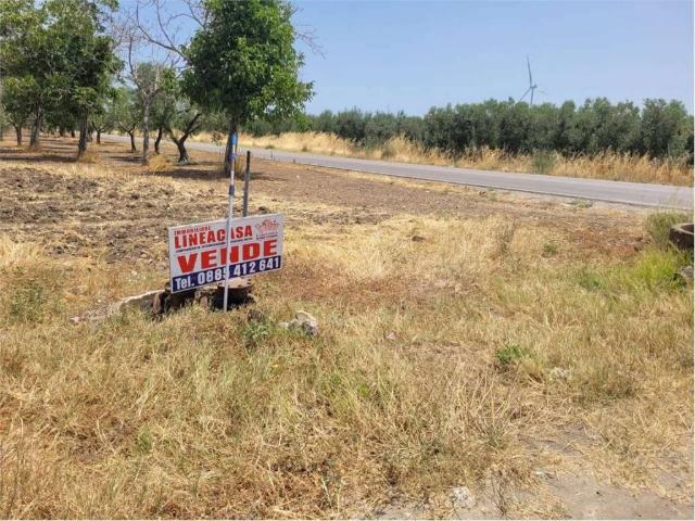 Terreno in vendita a Cerignola FG