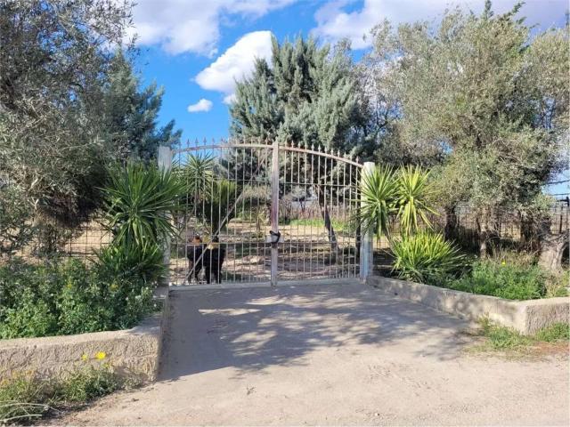 Terreno in vendita a Cerignola FG