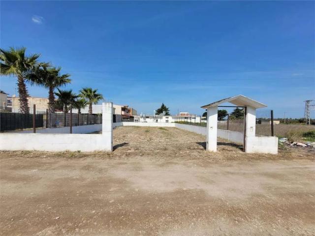 Terreno in vendita a Cerignola FG