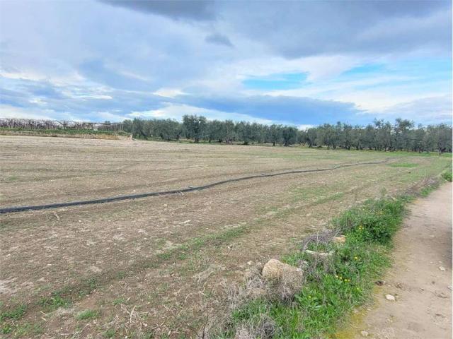 Terreno in vendita a Cerignola FG