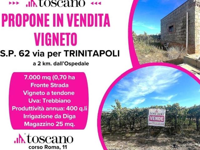 Terreno in vendita a Cerignola FG