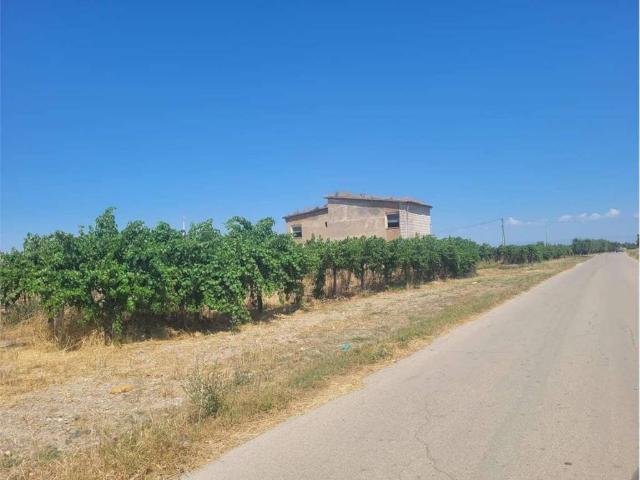 Terreno in vendita a Cerignola FG