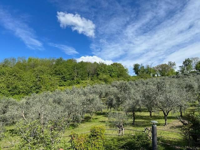 Terreno in vendita a Chiuduno BG