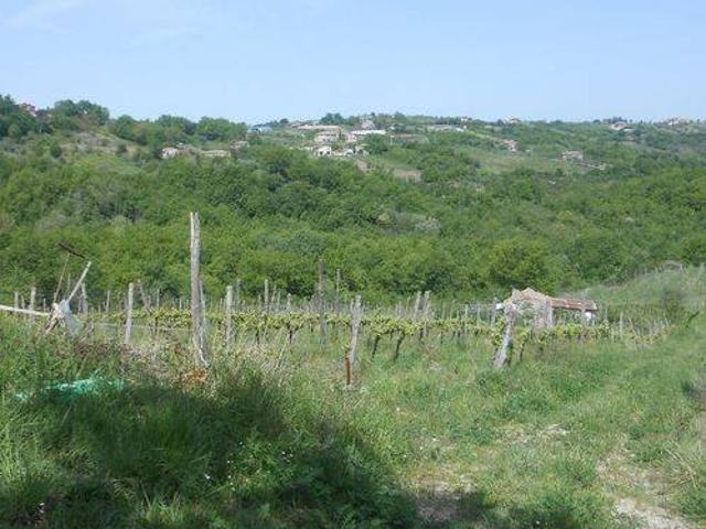 Terreno in vendita a Chiusano di San Domenico AV