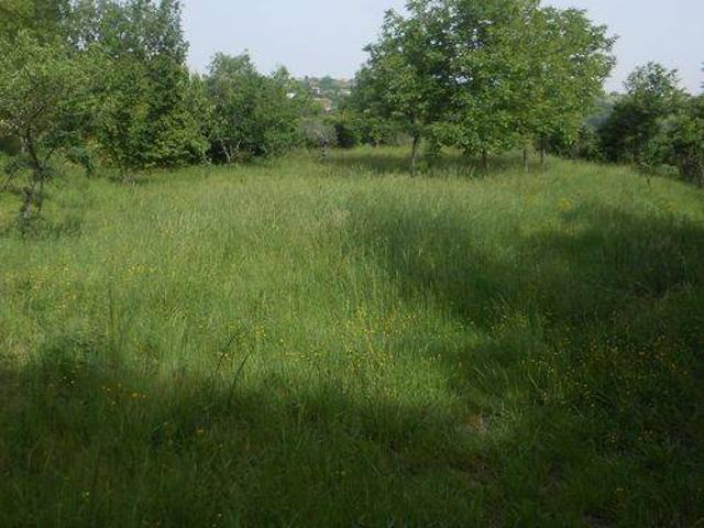 Terreno in vendita a Chiusano di San Domenico AV
