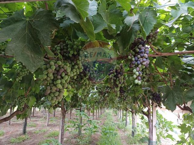 Terreno in vendita a Chiaramonte Gulfi