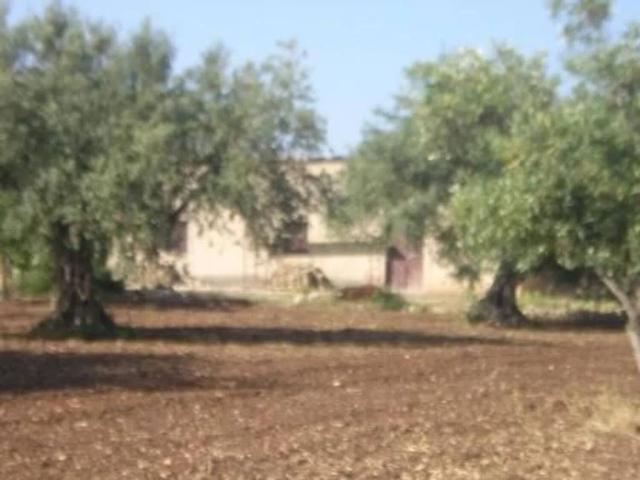 Terreno in vendita a Chiaramonte Gulfi RG