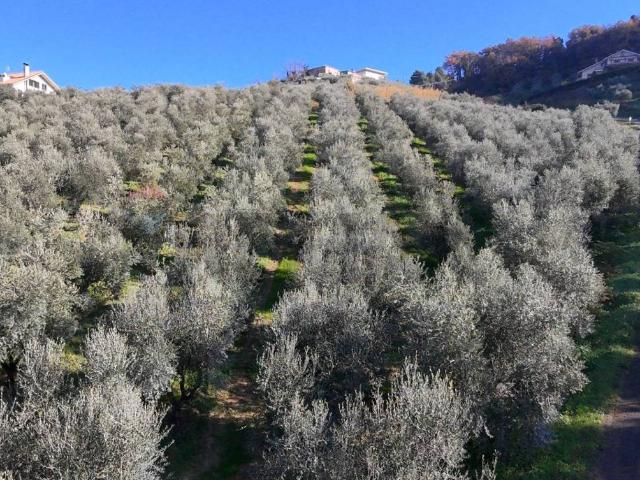 Terreno in vendita a Chieti CH