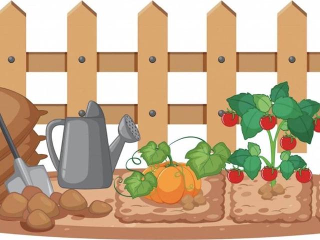 Terreno in vendita a Chioggia VE