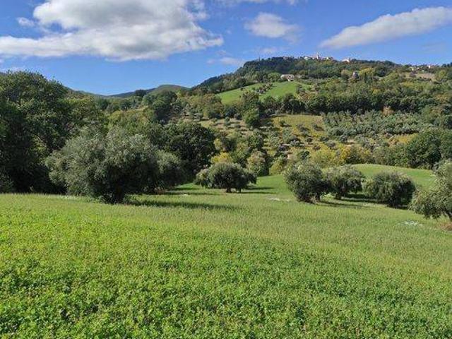 Terreno in vendita a Cingoli MC