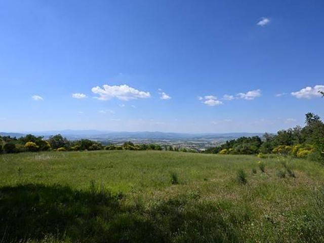 Terreno in vendita a Cinigiano GR