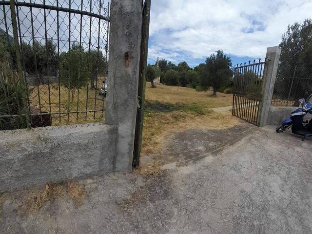 Terreno in vendita a Cinisi PA