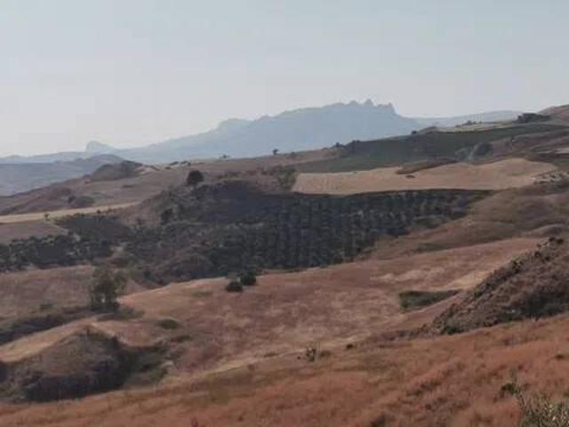 Terreno in vendita a Cianciana AG