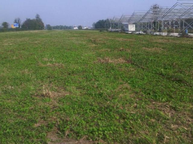 Terreno in vendita a Cigliano VC