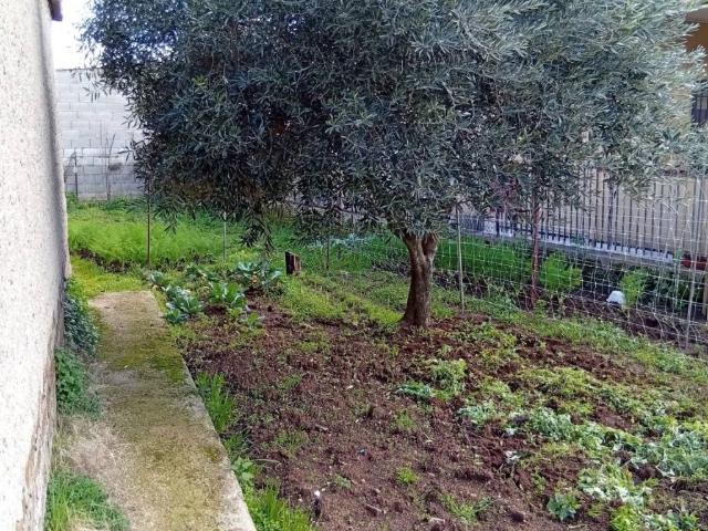 Terreno in vendita a Cisterna di Latina LT