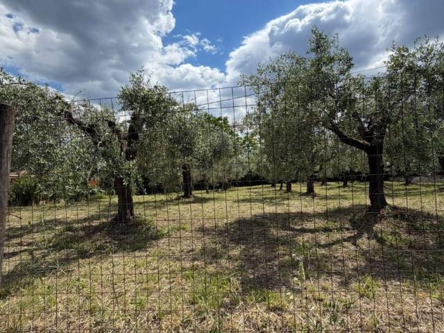 Terreno in vendita a Cisterna di Latina LT
