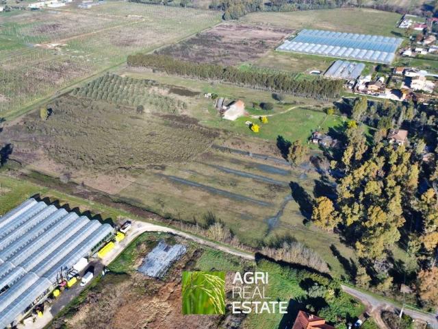 Terreno in vendita a Cisterna di Latina LT