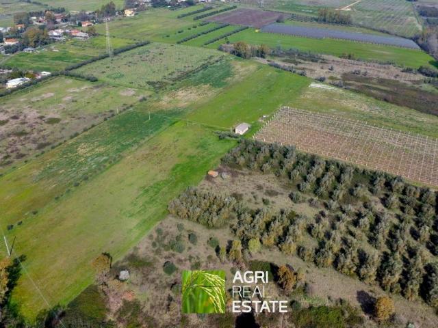 Terreno in vendita a Cisterna di Latina LT