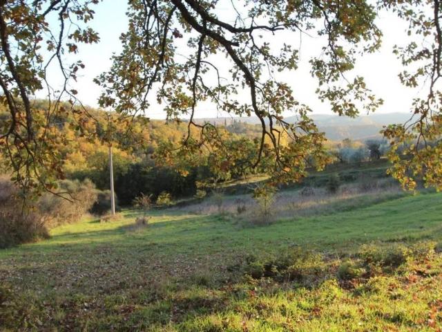 Terreno in vendita a Città della Pieve PG