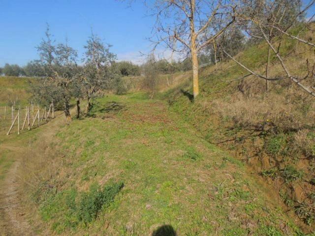 Terreno in vendita a Città della Pieve PG