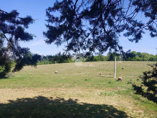 Terreno in vendita a Città di Castello PG