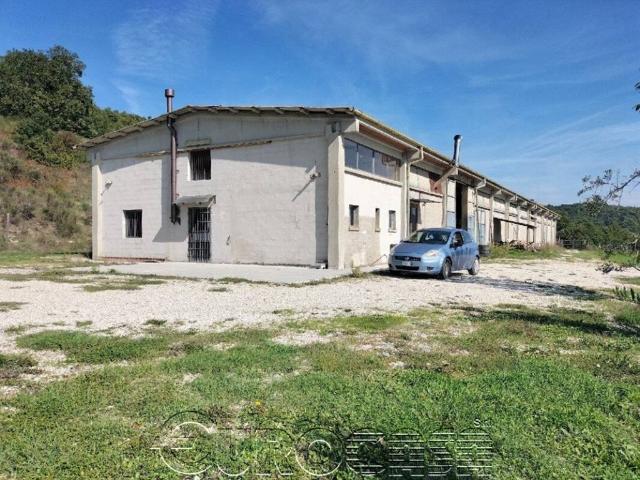 Terreno in vendita a Città di Castello PG