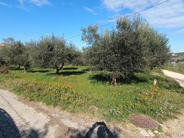 Terreno in vendita a Città Sant'Angelo PE