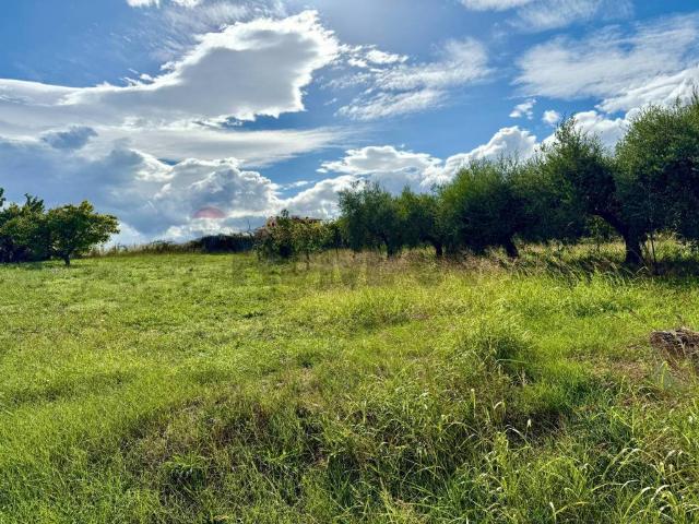 Terreno in vendita a Città Sant'Angelo PE