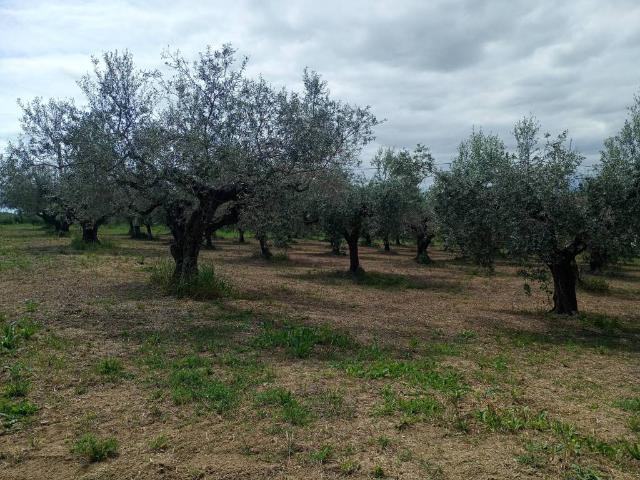 Terreno in vendita a Città Sant'Angelo PE