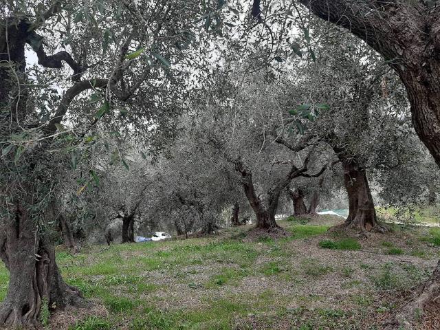 Terreno in vendita a Civezza IM
