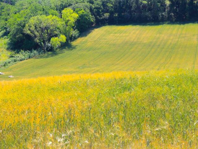 Terreno in vendita a Civitanova Marche MC