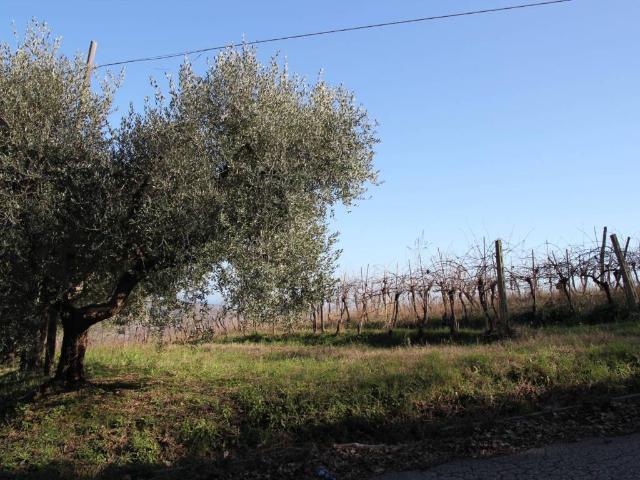 Terreno in vendita a Civitanova Marche MC
