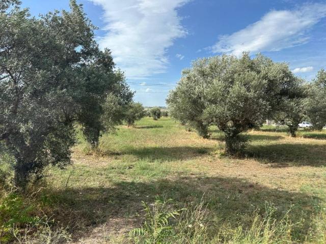 Terreno in vendita a Civitaquana PE
