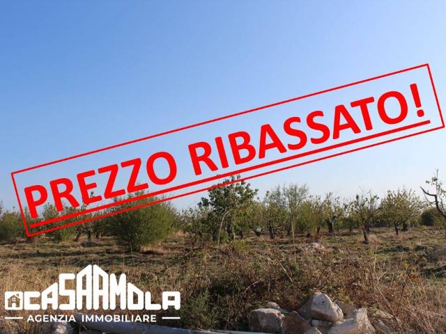 Terreno in vendita a Conversano BA