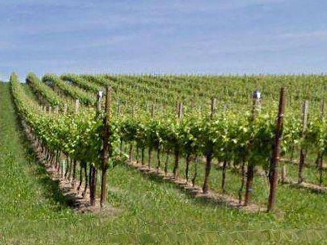 Terreno in vendita a Conegliano TV
