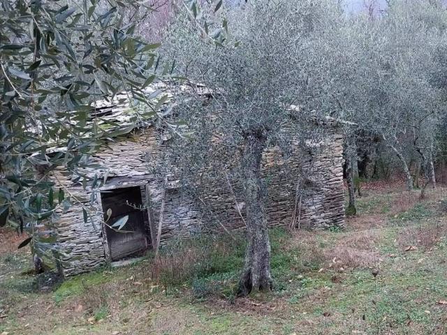 Terreno in vendita a Cogorno GE