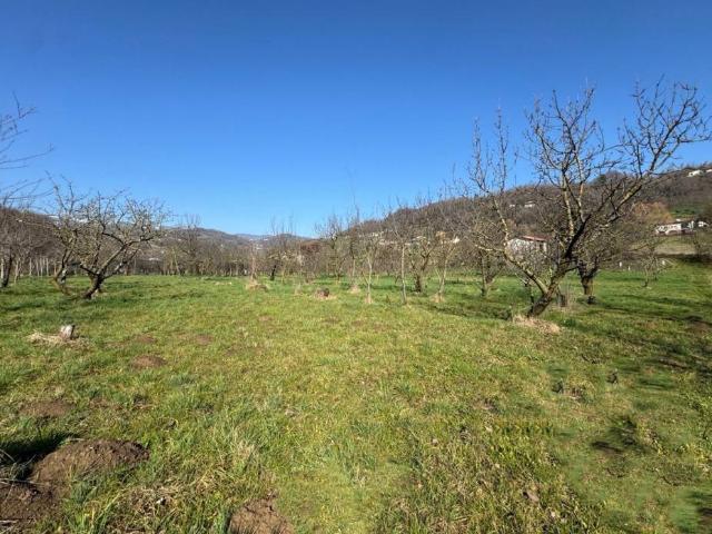 Terreno in vendita a Colceresa VI