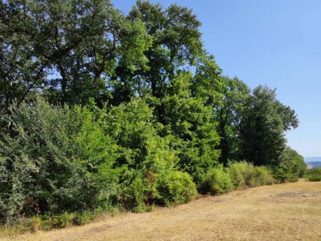 Terreno in vendita a Colle di Val d'Elsa SI