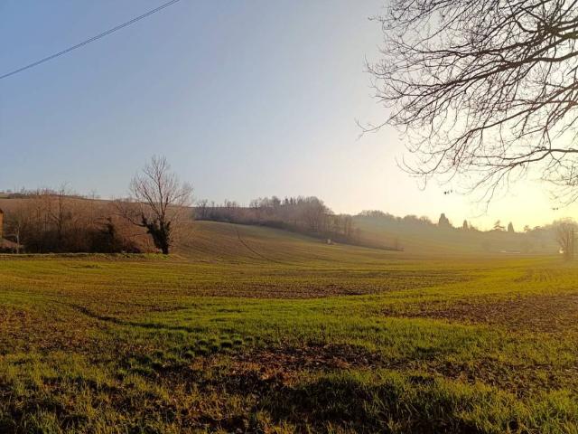 Terreno in vendita a Collecchio PR