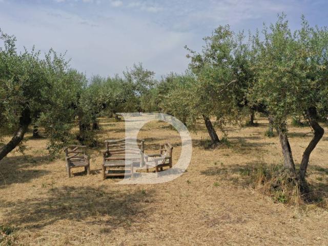 Terreno in vendita a Collecorvino PE