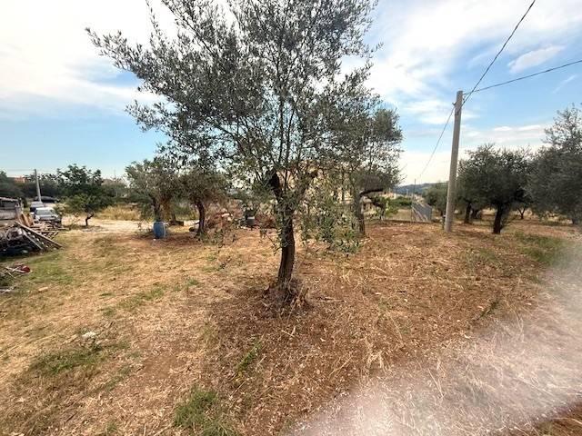 Terreno in vendita a Collecorvino PE