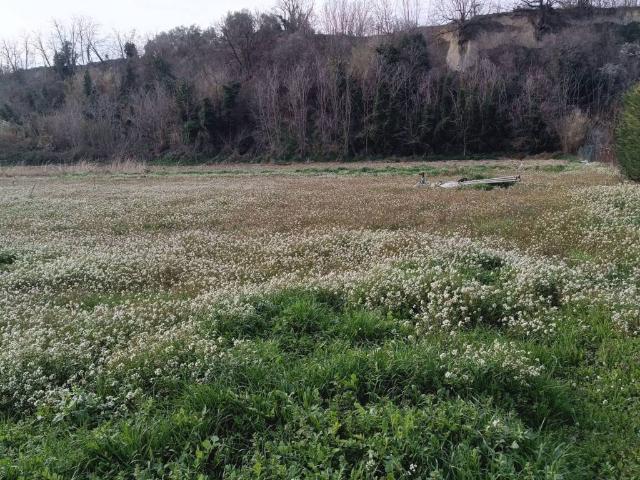 Terreno in vendita a Collecorvino PE