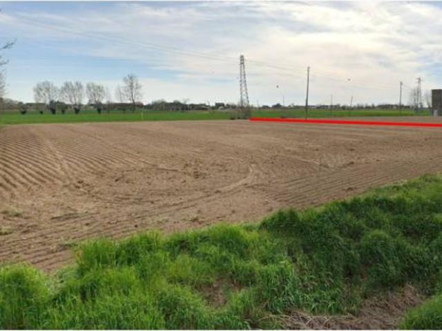 Terreno in vendita a Cologna Veneta VR