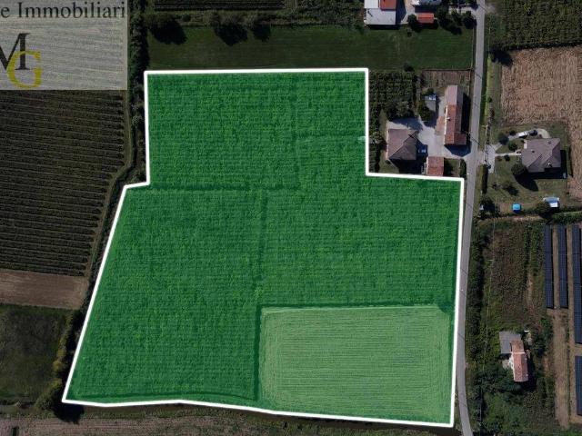 Terreno in vendita a Cologna Veneta VR