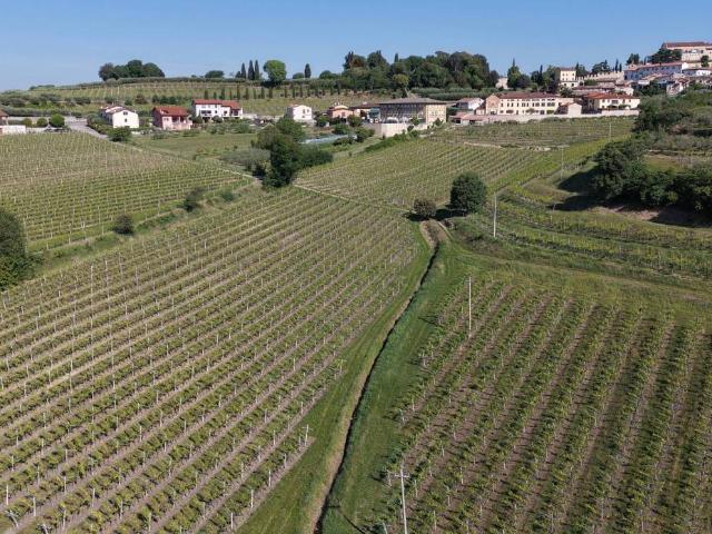 Terreno in vendita a Colognola Ai Colli VR