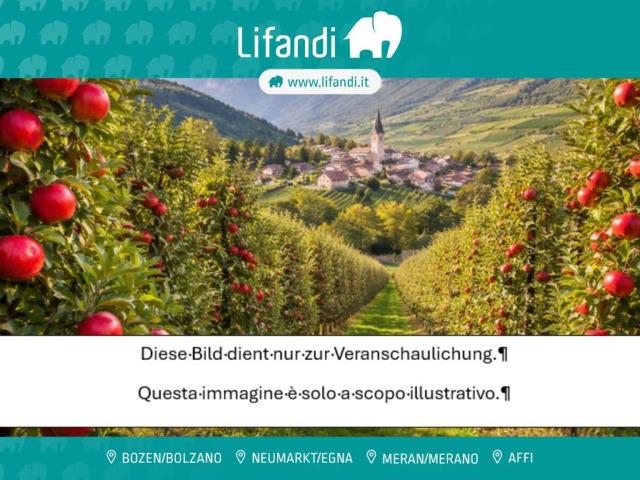 Terreno in vendita a Cortaccia sulla Strada del Vino BZ