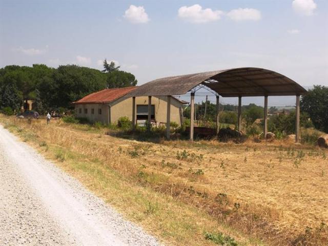 Terreno in vendita a Cortona AR