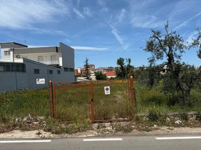 Terreno in vendita a Corato BA