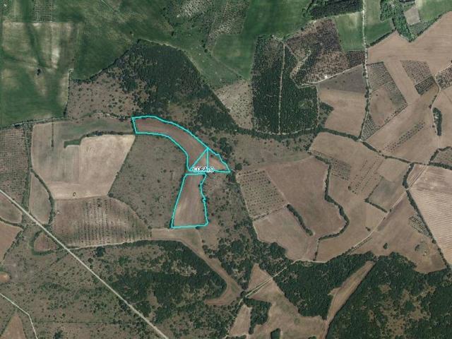 Terreno in vendita a Corato BA